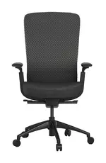Ergonomic Desk Chair