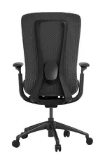 Ergonomic Desk Chair