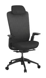 Ergonomic Desk Chair