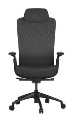 Ergonomic Desk Chair