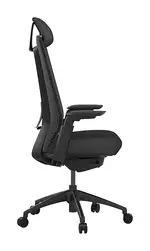 Ergonomic Desk Chair