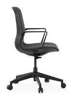 Conference Chair