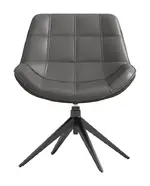 Swivel Accent Chair