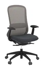 Ergonomic Task Chair