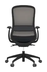 Ergonomic Task Chair