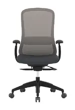 Ergonomic Task Chair