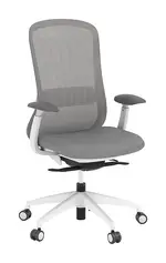 Ergonomic Task Chair