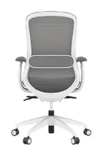 Ergonomic Task Chair