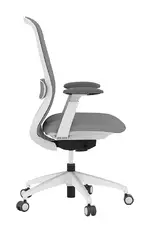 Ergonomic Task Chair