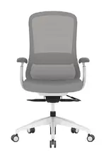 Ergonomic Task Chair