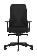 Ergonomic Office Chair