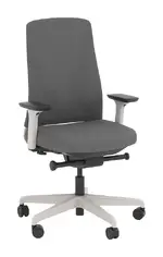 Ergonomic Office Chair