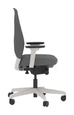Ergonomic Office Chair