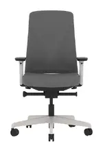 Ergonomic Office Chair
