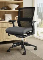 Ergonomic Office Chair