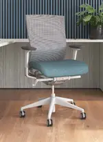 Ergonomic Office Chair