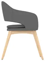 Modern Guest Chair