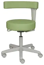 Basic Assistant Stool