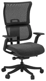 Ergonomic Gaming Chair