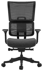 Ergonomic Gaming Chair