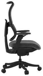 Ergonomic Gaming Chair