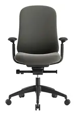 Ergonomic Office Chair
