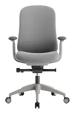 Ergonomic Office Chair
