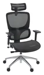 Mesh Ergonomic Office Chair