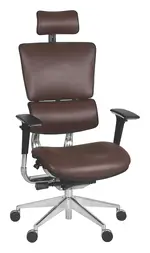 Ergonomic Office Chair
