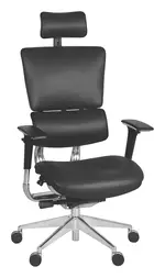 Ergonomic Office Chair