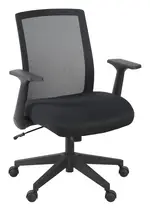 Mesh Back Task Chair