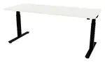 Electric Sit Stand Desk