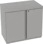 Small Storage Cabinet