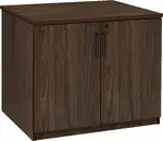 Storage Cabinet with Doors
