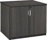 Storage Cabinet with Doors