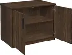 Storage Cabinet with Doors