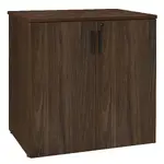 Storage Cabinet