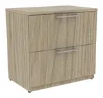 2 Drawer Lateral File Cabinet