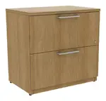 2 Drawer Lateral File Cabinet