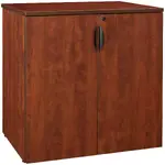 Storage Cabinet with Lock