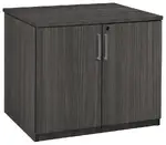 Office Storage Cabinet