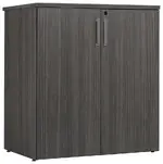 Lockable Storage Cabinet