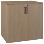 Lockable Storage Cabinet