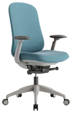 Ergonomic Office Chair