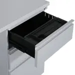 Mobile Desk with Drawers