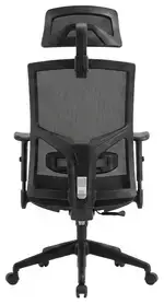 Ergonomic Office Chair with Headrest