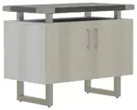 Contemporary Storage Cabinet