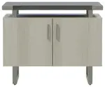 Contemporary Storage Cabinet
