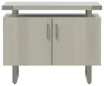 Contemporary Storage Cabinet
