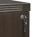 2 Drawer Lateral File Cabinet